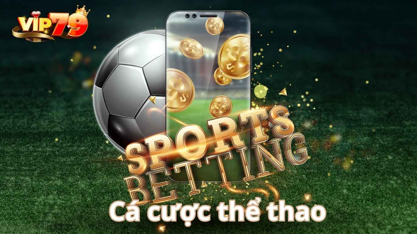 Khám phá thông tin hấp dẫn về sảnh thể thao Vip79
